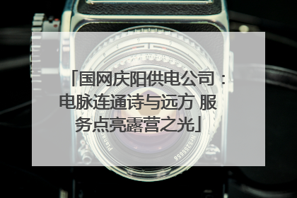 国网庆阳供电公司：电脉连通诗与远方 服务点亮露营之光