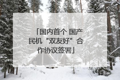 国内首个 国产民机“双友好”合作协议签署