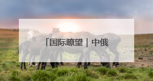 国际瞭望｜中俄战略协作：文明根基、现实破局与全球秩序重构