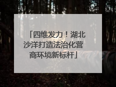 四维发力！湖北沙洋打造法治化营商环境新标杆