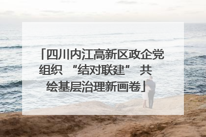 四川内江高新区政企党组织 “结对联建” 共绘基层治理新画卷