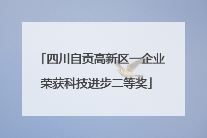 四川自贡高新区一企业荣获科技进步二等奖