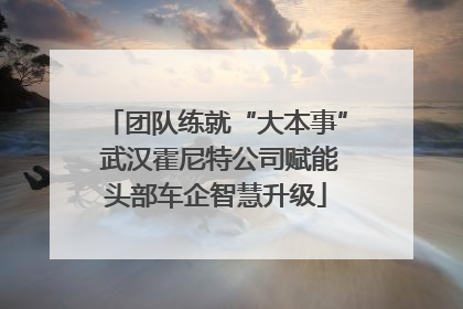 团队练就“大本事” 武汉霍尼特公司赋能头部车企智慧升级