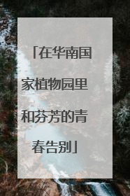 在华南国家植物园里和芬芳的青春告别