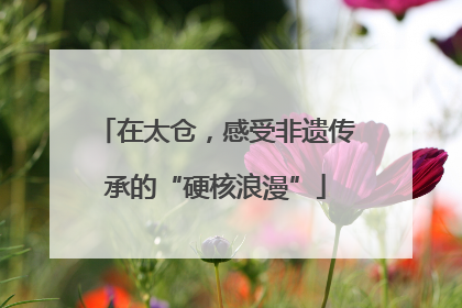 在太仓，感受非遗传承的“硬核浪漫”