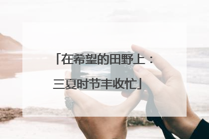 在希望的田野上：三夏时节丰收忙