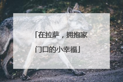 在拉萨，拥抱家门口的小幸福