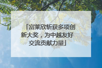 富莱欣斩获多项创新大奖，为中越友好交流贡献力量