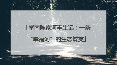孝南陈家河重生记：一条“幸福河”的生态蝶变