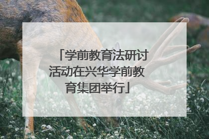 学前教育法研讨活动在兴华学前教育集团举行