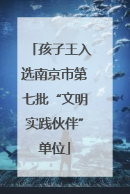 孩子王入选南京市第七批“文明实践伙伴”单位