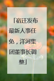 宿迁发布最新人事任免，洋河集团董事长调整