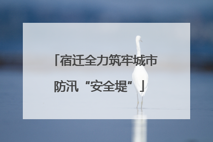 宿迁全力筑牢城市防汛“安全堤”