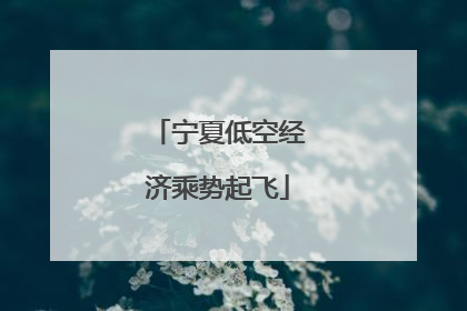 宁夏低空经济乘势起飞