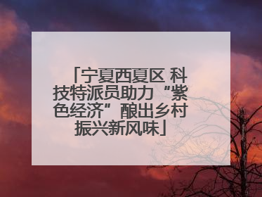 宁夏西夏区 科技特派员助力“紫色经济”酿出乡村振兴新风味