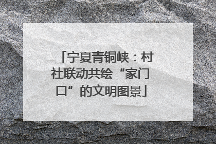 宁夏青铜峡：村社联动共绘“家门口”的文明图景