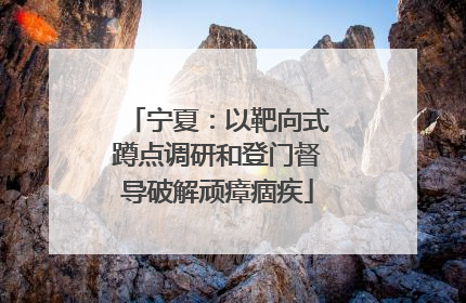 宁夏：以靶向式蹲点调研和登门督导破解顽瘴痼疾