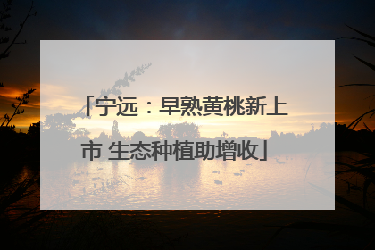 宁远：早熟黄桃新上市 生态种植助增收