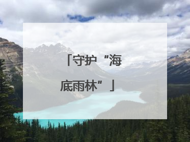 守护“海底雨林”