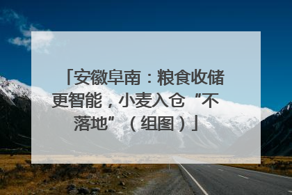 安徽阜南：粮食收储更智能，小麦入仓“不落地”（组图）