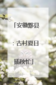 安徽黟县：古村夏日插秧忙