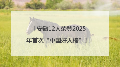 安徽12人荣登2025年首次“中国好人榜”