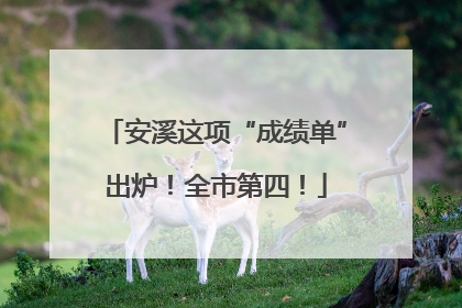 安溪这项“成绩单”出炉！全市第四！