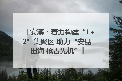 安溪：着力构建“1+2”集聚区 助力“安品出海·抢占先机”