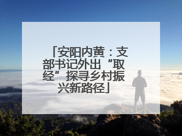 安阳内黄：支部书记外出“取经”探寻乡村振兴新路径