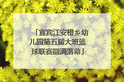 宜宾江安橙乡幼儿园第五届大班篮球联赛圆满落幕