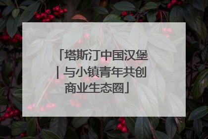 塔斯汀中国汉堡｜与小镇青年共创商业生态圈