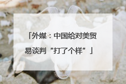外媒：中国给对美贸易谈判“打了个样”