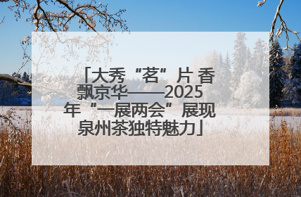 大秀“茗”片 香飘京华——2025年“一展两会”展现泉州茶独特魅力