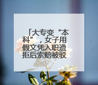 大专变“本科”，女子用假文凭入职遭拒后索赔被驳回