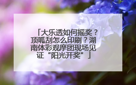 大乐透如何摇奖？顶呱刮怎么印刷？湖南体彩观摩团现场见证“阳光开奖”
