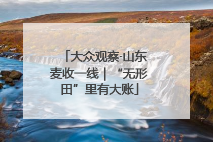 大众观察·山东麦收一线｜“无形田”里有大账