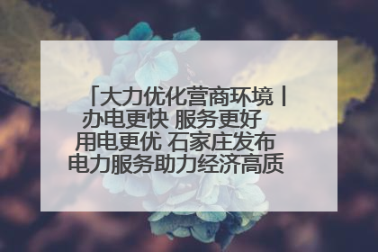 大力优化营商环境丨办电更快 服务更好 用电更优 石家庄发布电力服务助力经济高质量发展八项措施