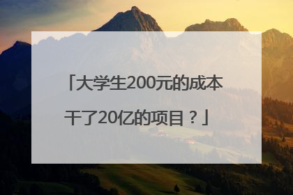 大学生200元的成本干了20亿的项目？