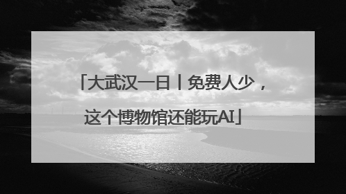 大武汉一日丨免费人少，这个博物馆还能玩AI