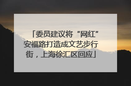 委员建议将“网红”安福路打造成文艺步行街，上海徐汇区回应