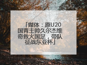 媒体：原U20国青主帅久尔杰维奇救火国足，带队征战东亚杯