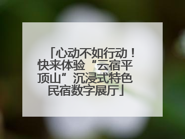 心动不如行动！快来体验“云宿平顶山”沉浸式特色民宿数字展厅
