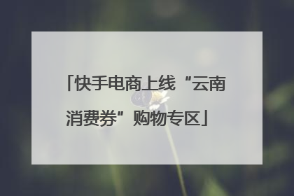 快手电商上线“云南消费券”购物专区