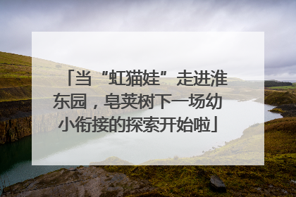 当“虹猫娃”走进淮东园，皂荚树下一场幼小衔接的探索开始啦