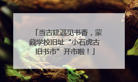 当古建遇见书香，蒙藏学校旧址“小石虎古旧书市”开市啦！
