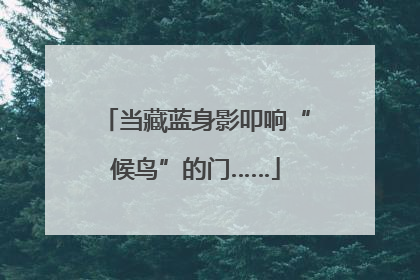 当藏蓝身影叩响“候鸟”的门……
