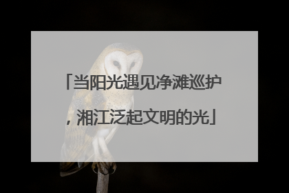 当阳光遇见净滩巡护，湘江泛起文明的光