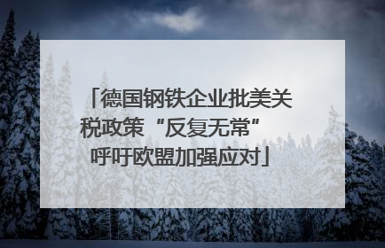 德国钢铁企业批美关税政策“反复无常” 呼吁欧盟加强应对
