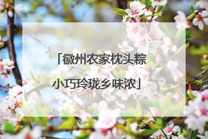 徽州农家枕头粽 小巧玲珑乡味浓