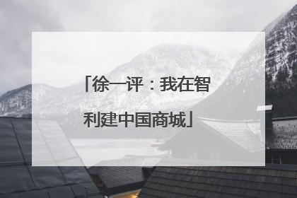 徐一评：我在智利建中国商城